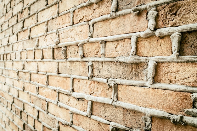 Vieux fond de mur de briques vintage