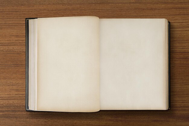 Vieux livre ouvert, pages blanches anciennes avec espace design