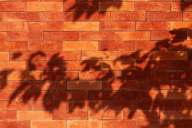 Vieux mur de briques avec des ombres de feuilles