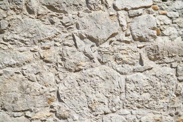 Vieux mur de briques