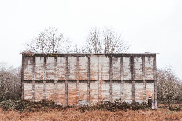 Vieux mur sale dans une forêt entourée de verdure sous un ciel nuageux pendant l'automne