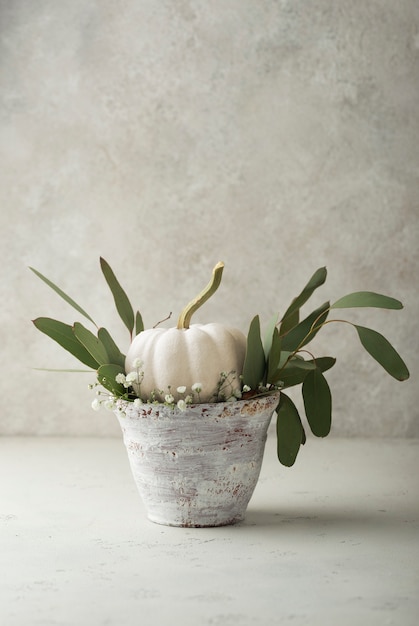 Photo gratuite vieux pot avec citrouille blanche et feuilles