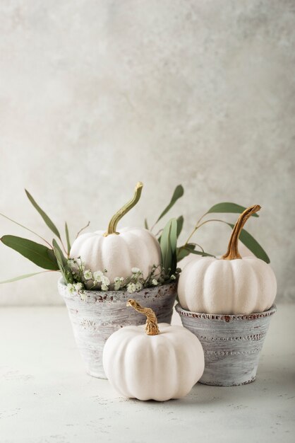 Vieux pots avec citrouilles blanches et feuilles