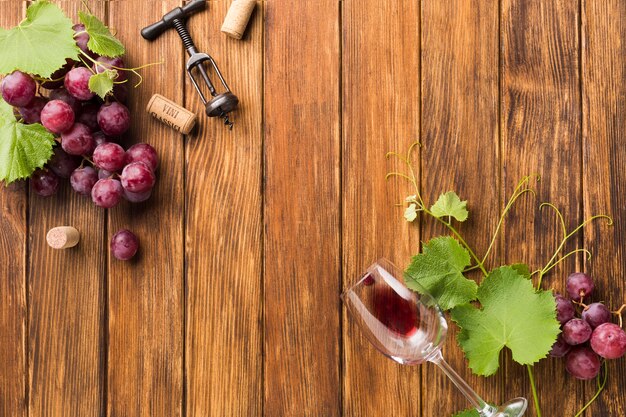 Vignes et raisins pour le vin rouge