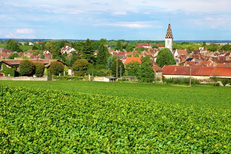 Photo gratuit village viticole français