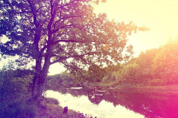 Vintage sunburst automne sur le lac.