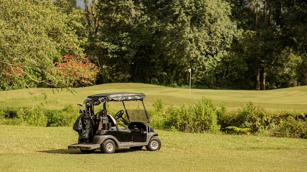 Voiturette de golf garée. Bali. Indonésie