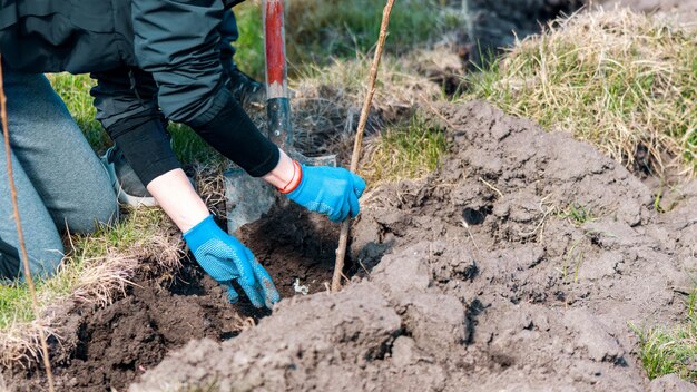 Volontaire plantant des arbres dans la nature