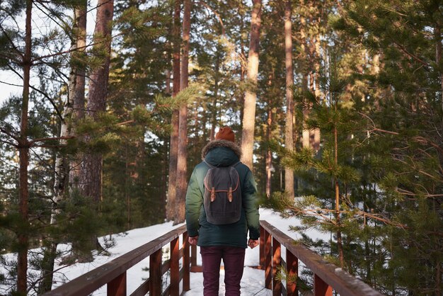 Voyageur dans la forêt