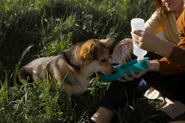 Photo gratuite les voyageurs avec un chien mignon se bouchent