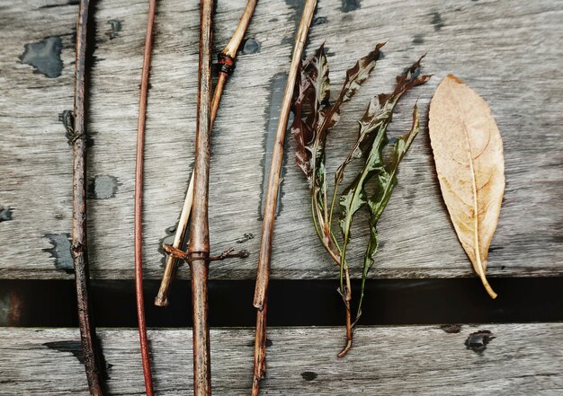 Vue aérienne agrandi de branches de plantes sur la table en bois