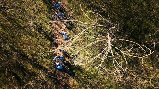 Photo gratuite vue aérienne de bénévoles nettoyant les déchets dans une zone forestière