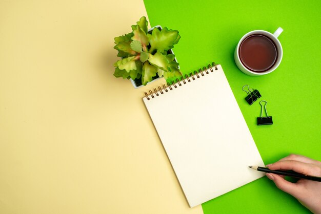 Vue aérienne d'un cahier blanc avec un stylo à côté d'une tasse de pot de fleur de thé sur fond blanc et jaune