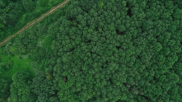 Vue aérienne de la campagne avec forêt