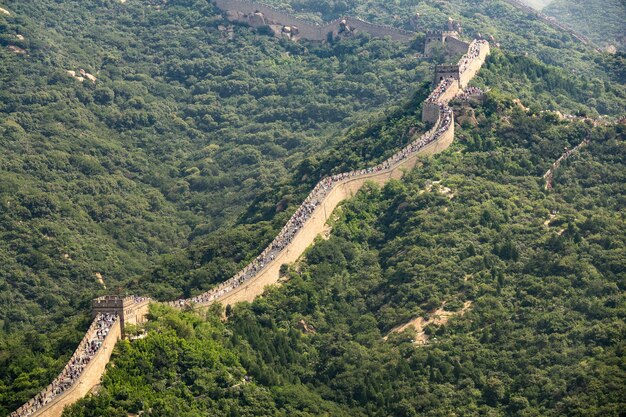 Vue aérienne de la célèbre Grande Muraille de Chine entourée d'arbres verts en été