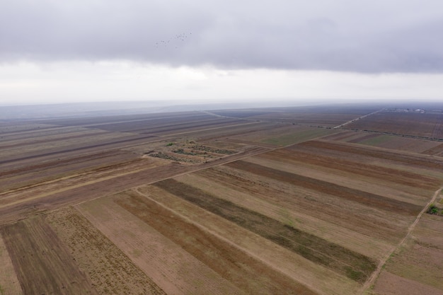 Vue aérienne des champs agricoles