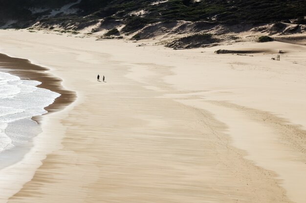 Vue aérienne de deux personnes marchant dans la belle plage au bord de la mer