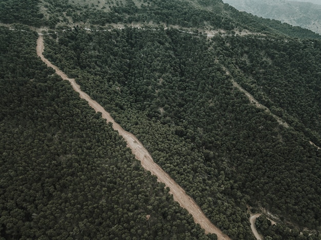 Photo gratuite vue aérienne du chemin de terre tout droit dans le paysage forestier