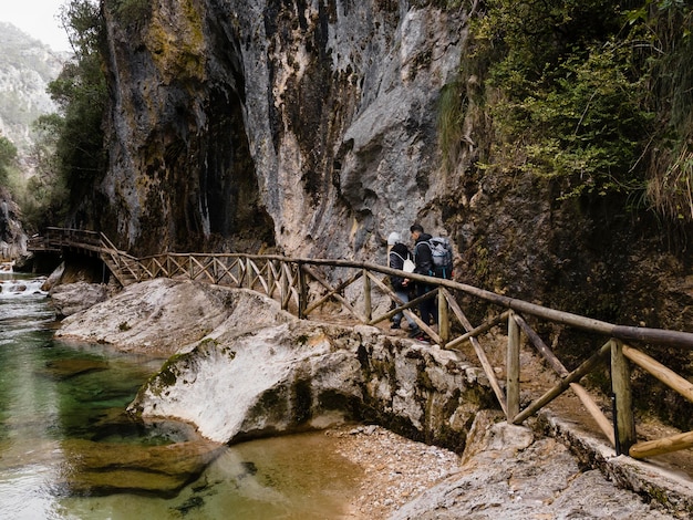 Vue aérienne du paysage de la cascade