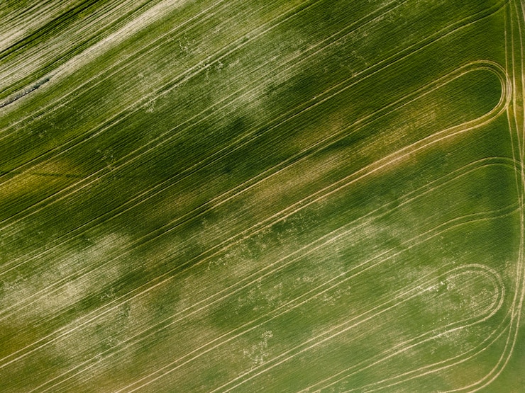 Photo gratuit vue aérienne du paysage de la nature