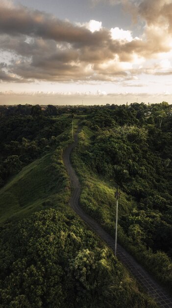 Vue aérienne époustouflante des forêts tropicales dans un vert éclatant