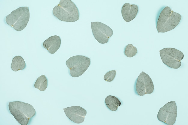 Une vue aérienne de feuilles vertes sur fond bleu