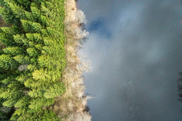 Vue aérienne d'une forêt couverte de conifères et d'arbres nus et entourée d'un lac