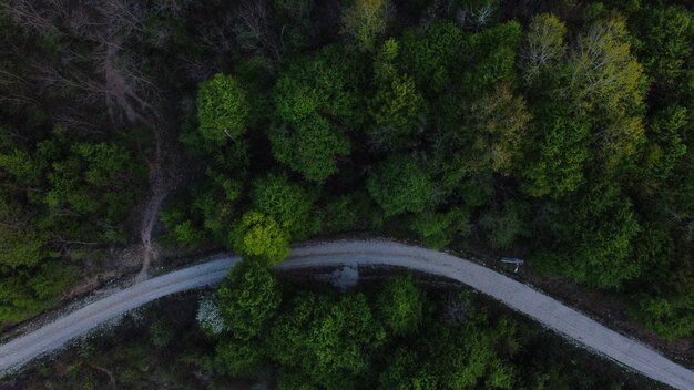 Vue aérienne d'une forêt dense avec des arbres verts et une route - environnement vert