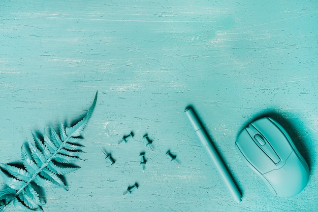 Une vue aérienne de fougère; une punaise; stylo et souris sur fond turquoise