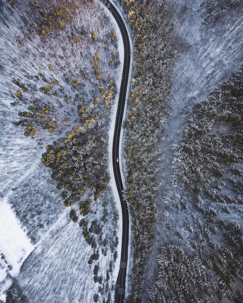 Vue aérienne de haut en bas d'une longue route au milieu des arbres et de la neige