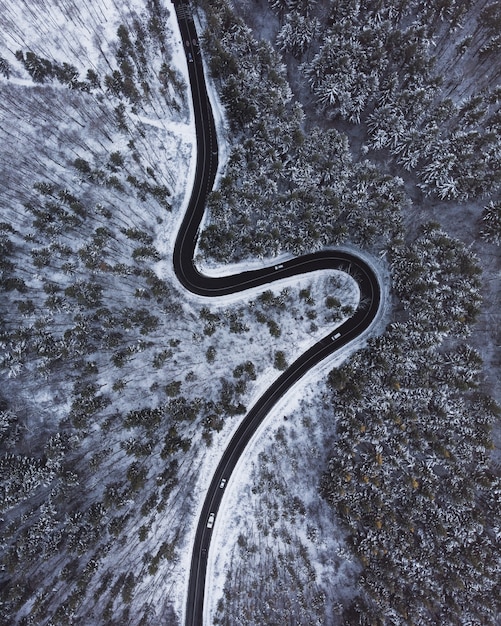 Vue aérienne de haut en bas d'une route sinueuse au milieu des arbres et de la neige