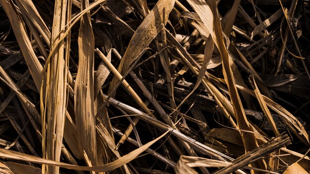 Vue aérienne d&#39;herbe sèche