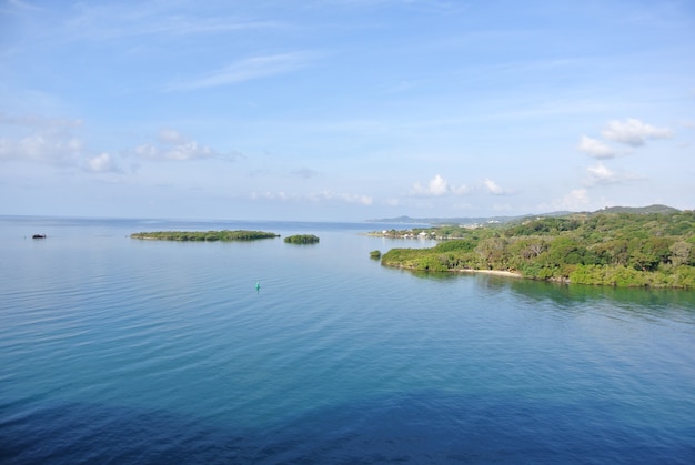 Une vue aérienne des îles vertes d'Ozello Community Park à Crystal, USA