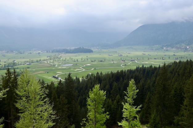 Vue aérienne d'un paysage verdoyant avec de beaux sapins et montagnes