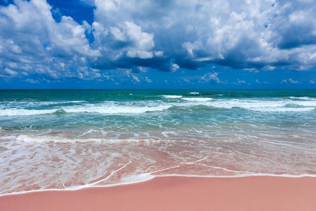 Vue aérienne de la plage rose et des vagues de l'océan bleu.