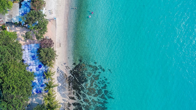 Vue aérienne de la plage de sable avec les touristes nageant.