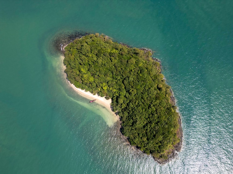 Photo gratuit vue aérienne d'une plage tropicale et d'une forêt panoramique avec des palmiers et un ciel bleu