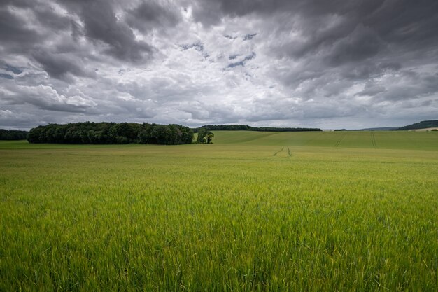 Vue aérienne d'une prairie sous pendant un temps nuageux