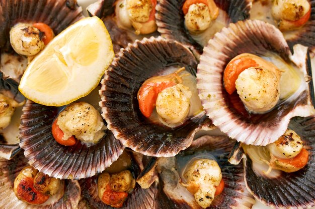 Vue aérienne de quelques coquilles Saint-Jacques cuites sur une assiette blanche.