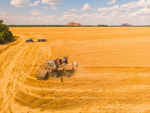 Vue aérienne de la récolte d'été Moissonneuse-batteuse récolte grand champ
