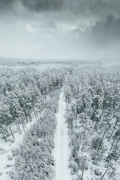 Vue aérienne de la route enneigée dans la forêt un jour d'hiver