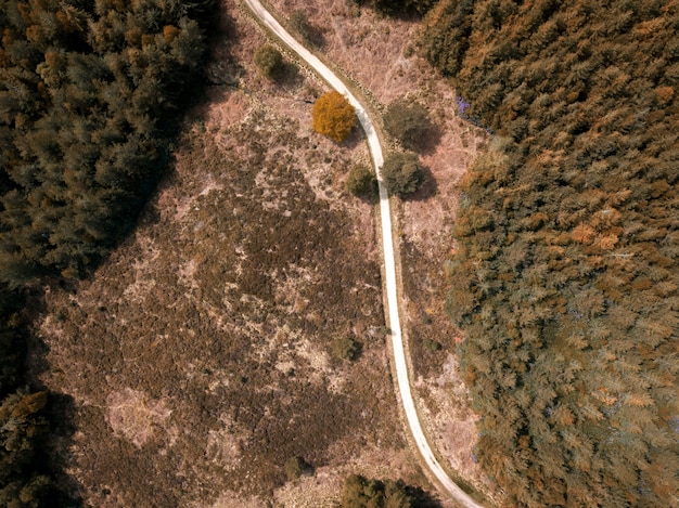 Vue aérienne d'une route étroite dans une forêt dans une forêt de Puddletown dans le Dorset, Royaume-Uni