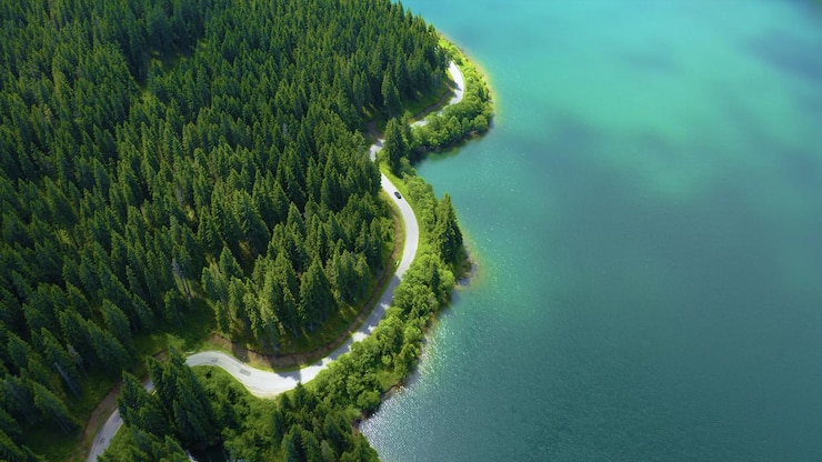 Photo gratuit vue aérienne d'une route sinueuse entourée par l'océan et la forêt de pins