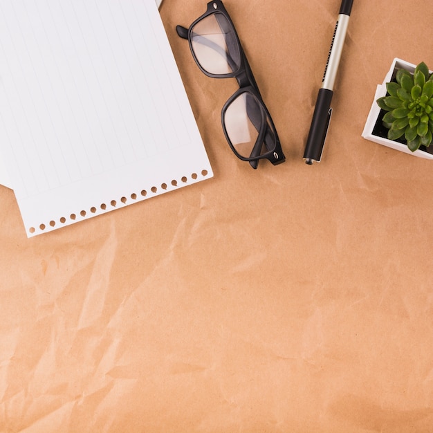 Photo gratuite vue aérienne d'une seule page lunettes; plume et plante en pot sur papier brun