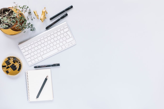 Photo gratuite vue aérienne de showplant; clavier et stylo avec journal sur fond blanc