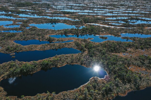 Vue aérienne de la zone du lac avec de la végétation