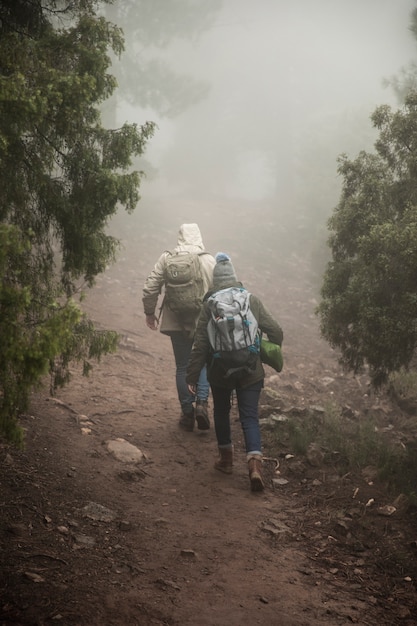 Vue arrière des campeurs avec des sacs à dos