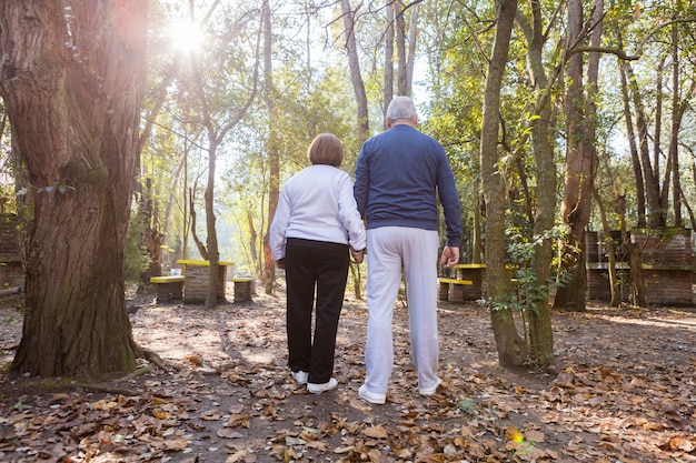 Vue arrière du couple de retraités marchant au coucher du soleil