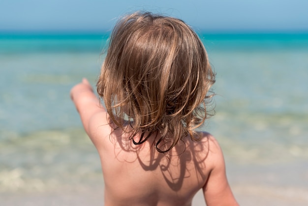 Vue Arrière De L'enfant à La Plage Pointant Vers L'eau