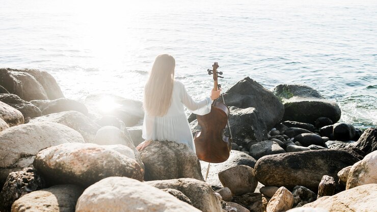 Photo gratuit vue arrière de la femme au violoncelle au bord de l'océan